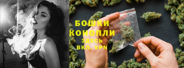шишки Алексеевка
