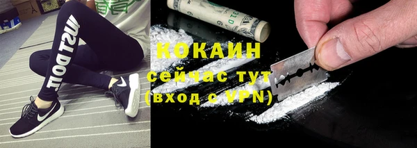 шишки Алексеевка