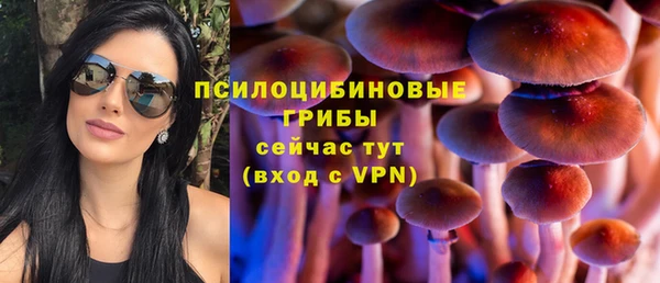 шишки Алексеевка