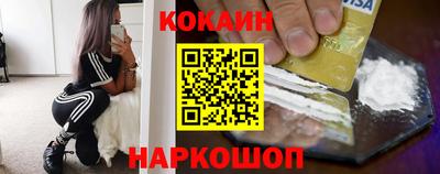 бошки Кингисепп