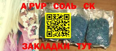 бошки Кингисепп