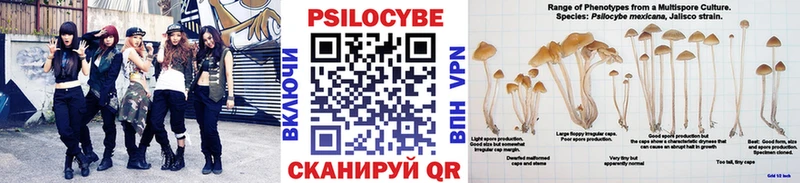 Галлюциногенные грибы Psilocybe KRAKEN сайт Кудрово