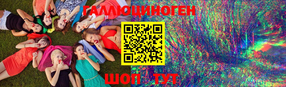 Кудрово  Псилоцибиновые грибы мицелий  Вход с VPN 