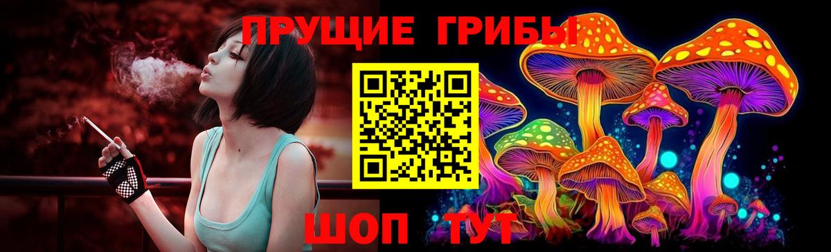 Псилоцибиновые грибы GOLDEN TEACHER Кудрово